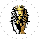YT LION GAMING profile picture
